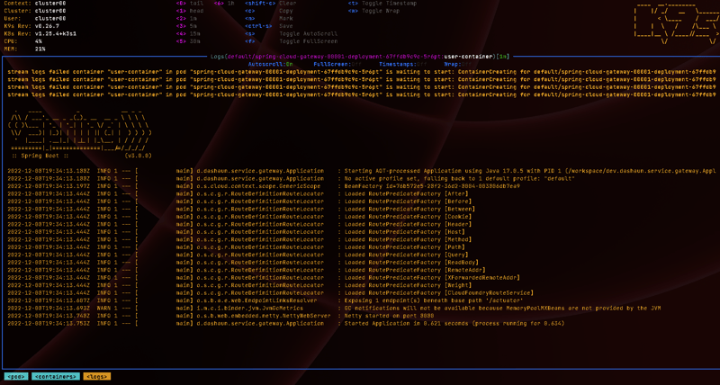 SCG native image Raspberry Pi startup