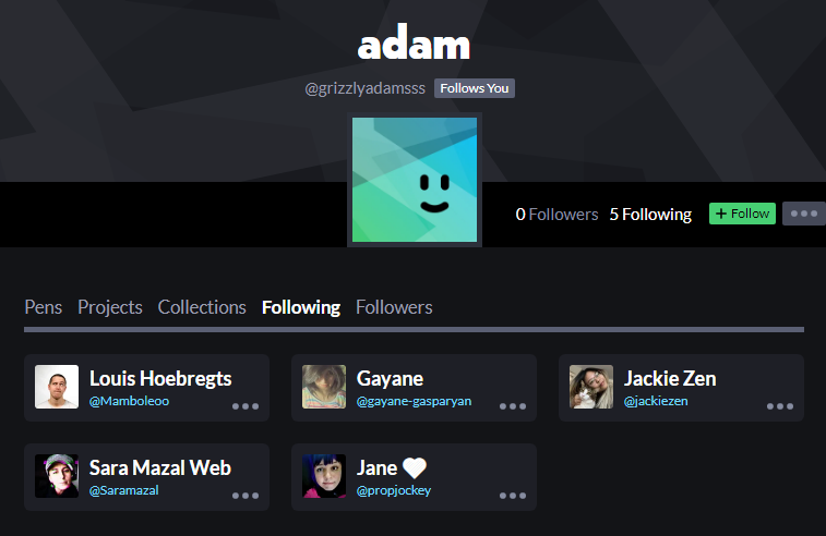 Screenshot of users Adam follows on CodePen with my profile as the first one followed