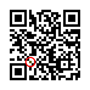 QR code with the dark module circled in red