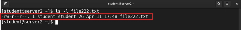 Understanding File Permissions in Linux: A Beginner's Guide