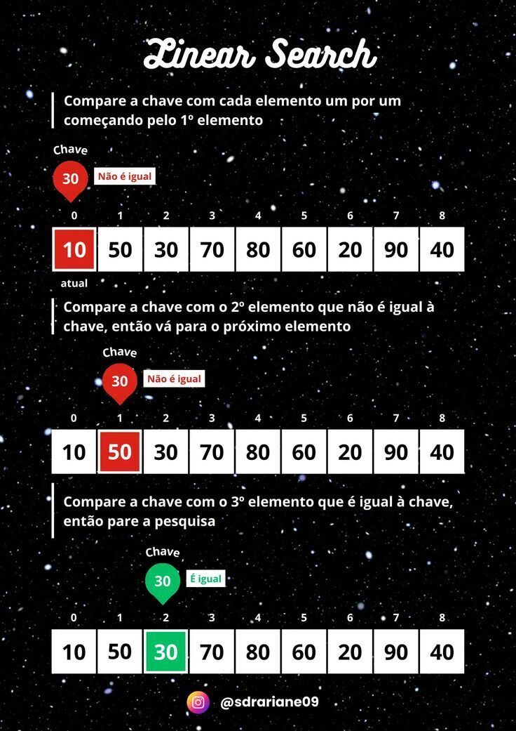 TOP 25 ALGORITMOS | Linear Search