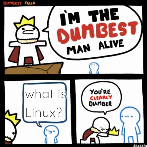 “What is Linux?” — A Love Letter to the Operating System That Runs the World (And Your Toaster)