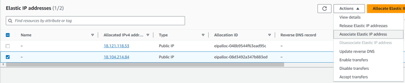 Associate Elastic IPs