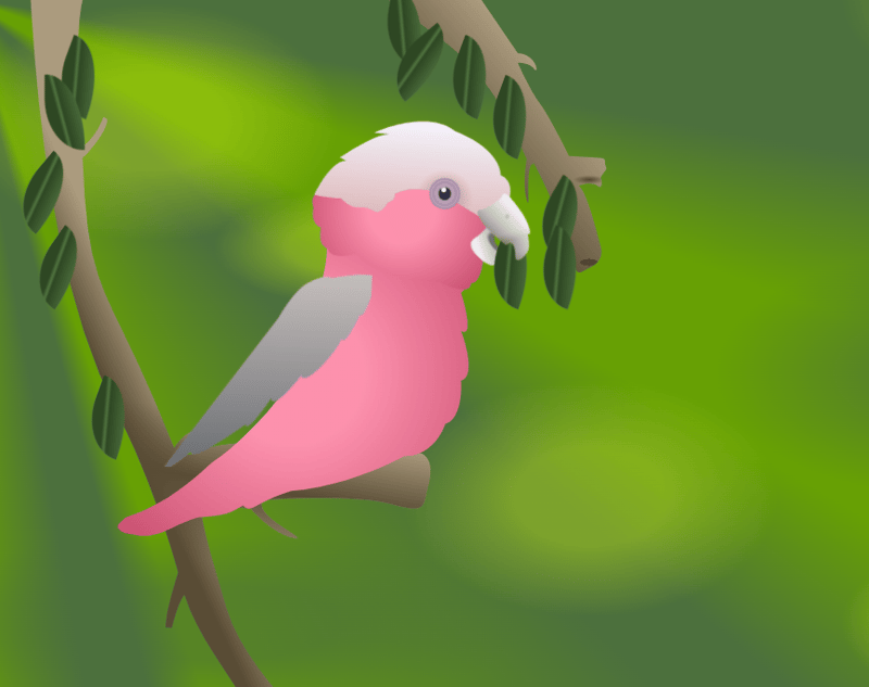 Galah CSS