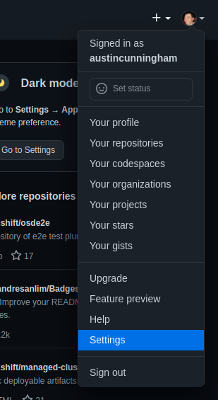 In Github go to Settings