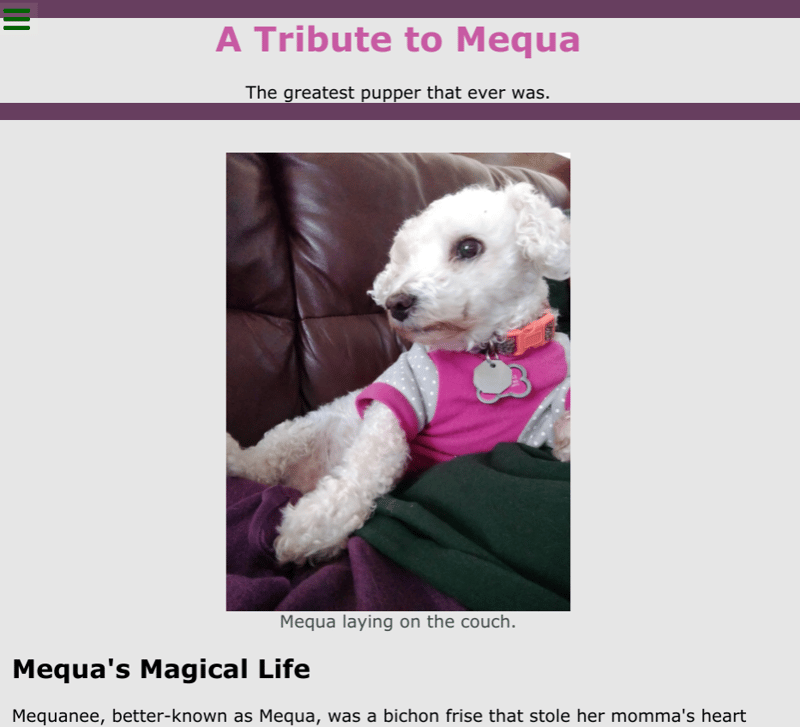 Screenshot of Mequa tribute page