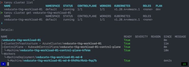 Deploy Tanzu Kubernetes Guest cluster to Azure - tanzu cluster list - tanzu cluster get