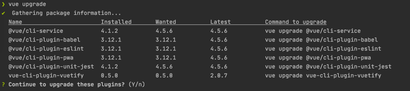 Vue Upgrade Prompt