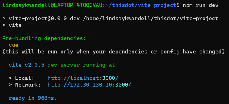 vite-project npm run dev