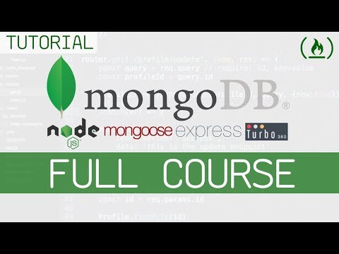 MongoDB 