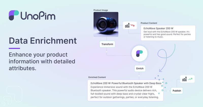 Data Enrichment Interface