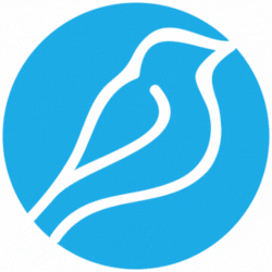 Bluebird International profile image