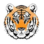 TeamTigers profile image