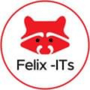 felixitsystem