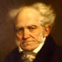 chopenhauer profile image