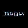Techquila Web Design Company