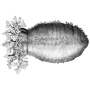 rumca-js profile