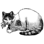 vitalfrolov profile image