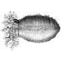 tr010910 profile
