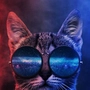 Dhanush B profile image