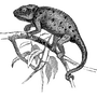 shivasaipeddy profile