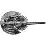 gooni7 profile