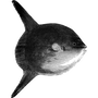 alibby profile