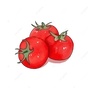 programmingtomato profile