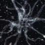argon-root profile