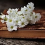 jayalakshmi_s_bf86a8c8d64 profile