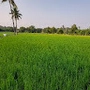 preteka profile