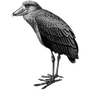 mfloyd0 profile