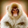 rufo123 profile