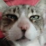 mimi_thatskymimipepper profile