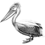 wpplugged profile