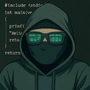 _0xsegfault profile