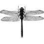 testexplore profile