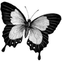 floww65688 profile