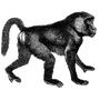 psdufa_s_6fa6c2a53770e97 profile