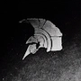 splintersword profile