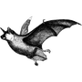 ship_happens profile