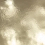 windspore profile
