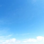 nocibambi profile